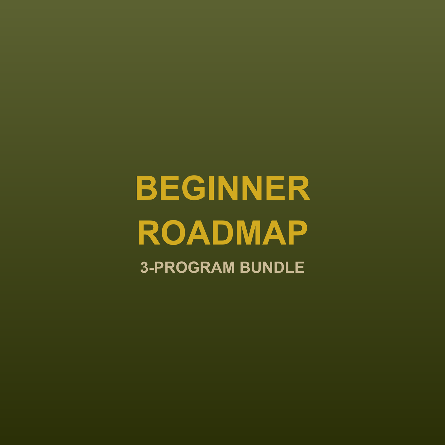 Calisthenics Beginner Roadmap 3-program bundle - JRJ Fit