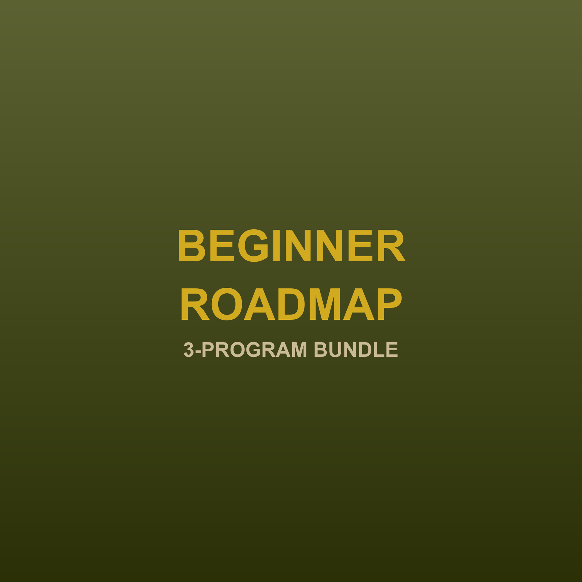 Calisthenics Beginner Roadmap 3-program bundle - JRJ Fit