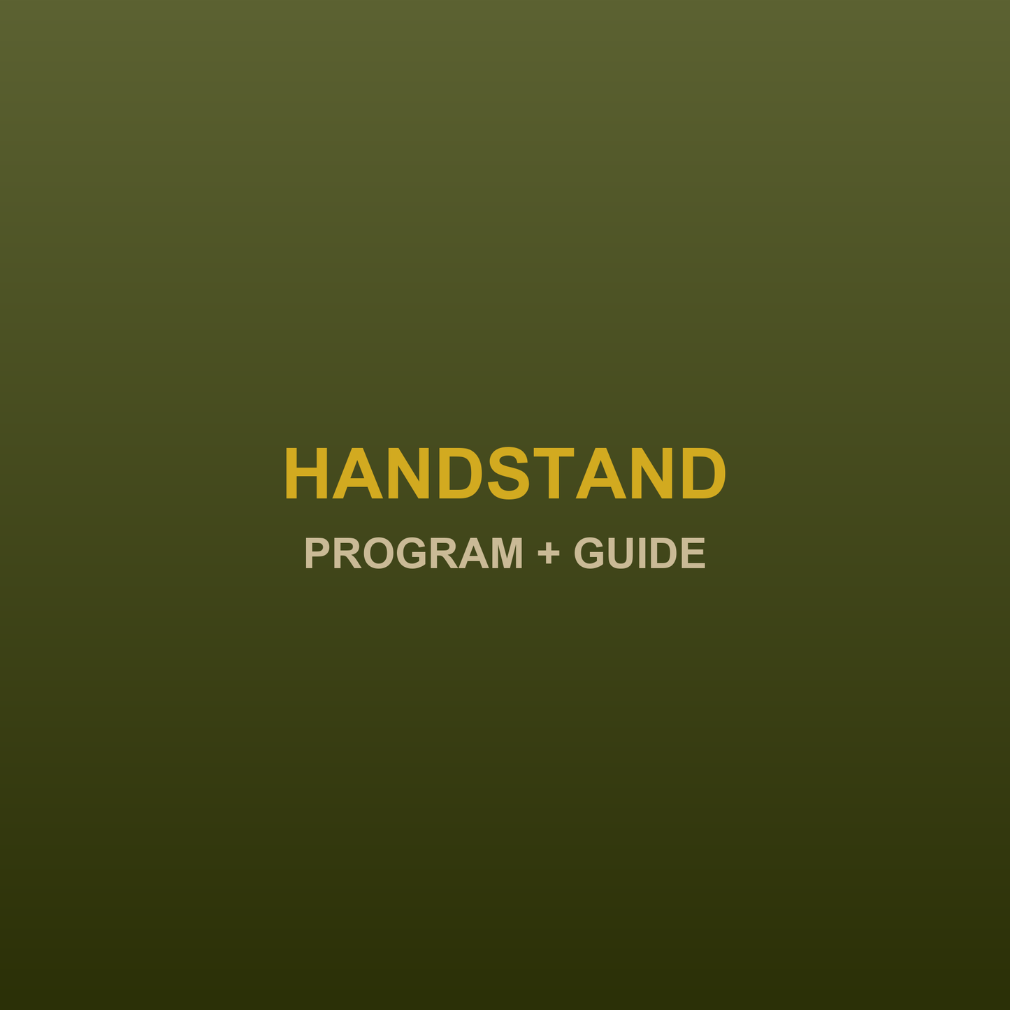 Handstand program and technique guide bundle - JRJ Fit