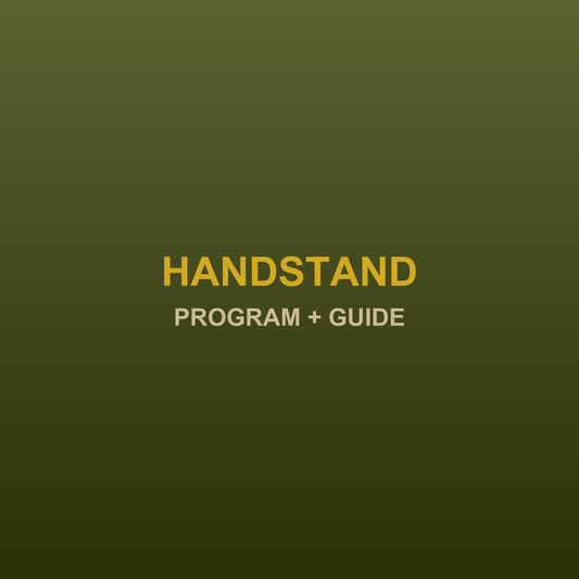 Handstand program and technique guide bundle - JRJ Fit